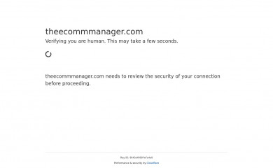 theecommmanager.com screenshot