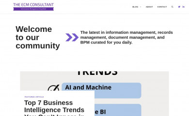 theecmconsultant.com screenshot