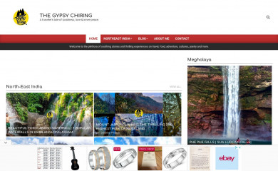 thegypsychiring.com screenshot