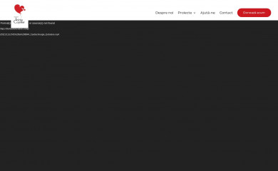 theheartofchildren.ro screenshot