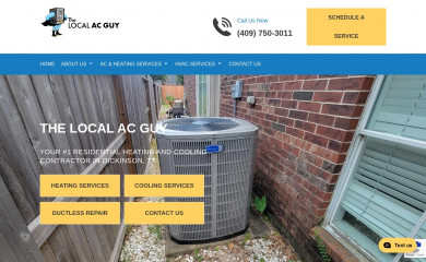 thelocalacguy.com screenshot