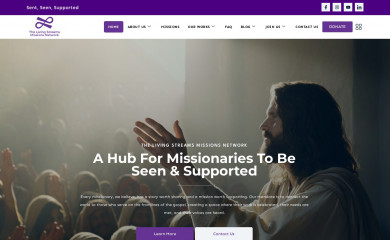 thelsmnetwork.com screenshot
