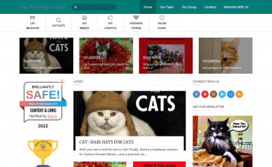 thepurringtonpost.com screenshot