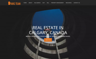 thepangteam.com screenshot