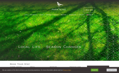 theparknine.com screenshot