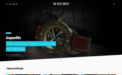 thepilotwatch.com screenshot