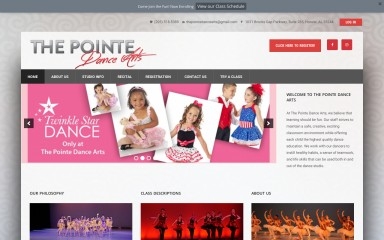 thepointedancearts.com screenshot