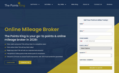 thepointsking.com screenshot