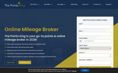 thepointsking.com screenshot