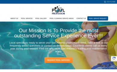 thepoolprofessorsa.com screenshot