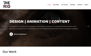therig.co.nz screenshot