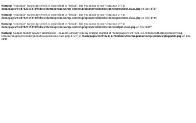 thermogenpowerservices.com screenshot