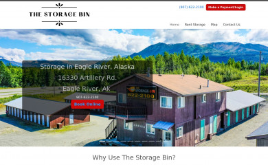 thestoragebinak.com screenshot
