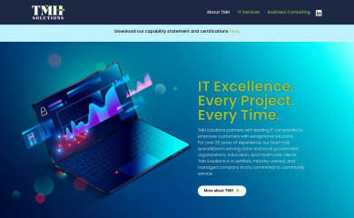thesaaltgroup.org screenshot
