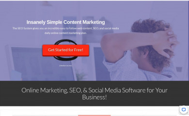 theseosystem.com screenshot