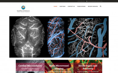 theshihlab.com screenshot