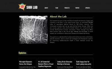 theshihlab.com screenshot