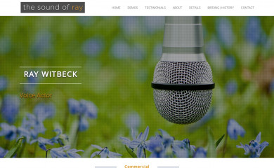 thesoundofray.com screenshot