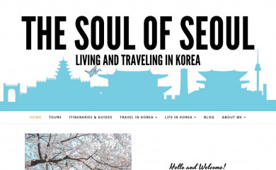 thesoulofseoul.net screenshot