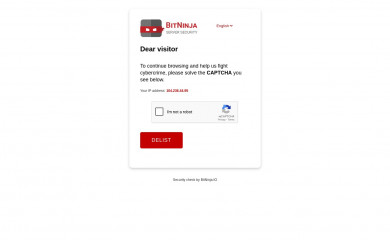 thesprintsisters.com screenshot