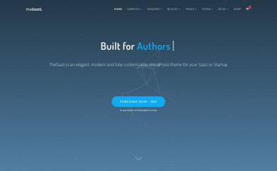 http://thetheme.io/wp/thesaas screenshot