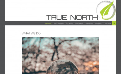 thetruenorth.com screenshot