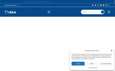 theuiaa.org screenshot