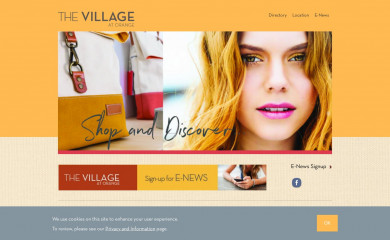 thevillageatorange.com screenshot