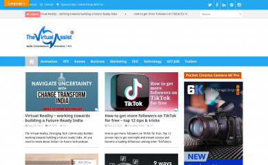 thevirtualassist.net screenshot