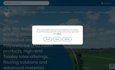 thevitagroup.com screenshot