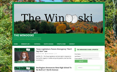 thewinooski.com screenshot