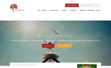 theyoungmindclinic.com screenshot