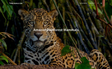 thinkjungle.com screenshot