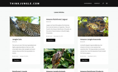 thinkjungle.com screenshot
