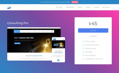 Consulting Pro screenshot