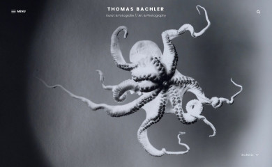 thomasbachler.de screenshot