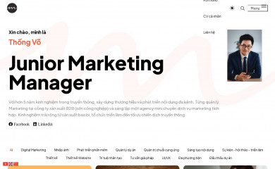 thongvo1100.com screenshot