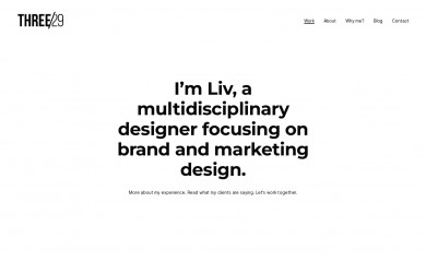 three29design.com screenshot