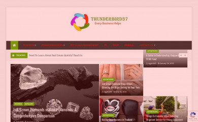 thunderbird37.com screenshot