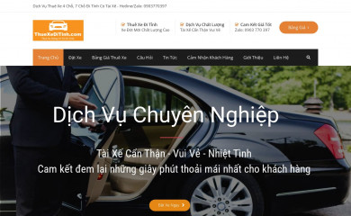 thuexeditinh.com screenshot