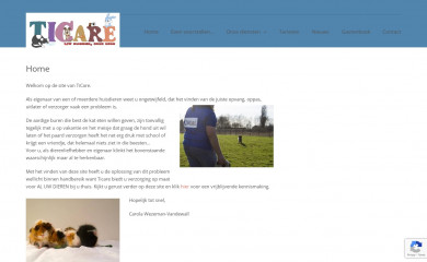 ticare.nl screenshot