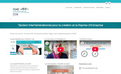 tigcre.org screenshot