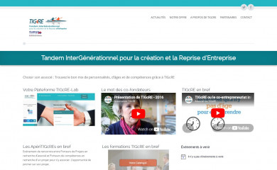 tigcre.org screenshot