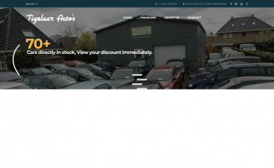 tigelaarautos.nl screenshot