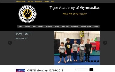 tiger-academy.com screenshot
