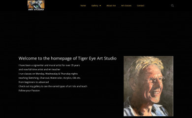 tigereyeartstudio.com.au screenshot