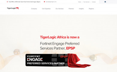 tigerlogicsolutions.com screenshot