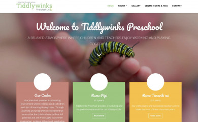 tiddlywinks.co.nz screenshot