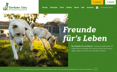 tierheim-linz.at screenshot