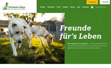 tierheim-steyr.at screenshot